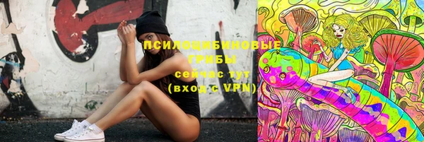 стафф Алексеевка