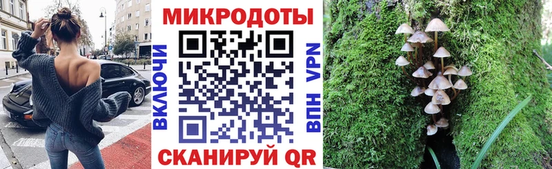 Псилоцибиновые грибы Cubensis  Карабаново 