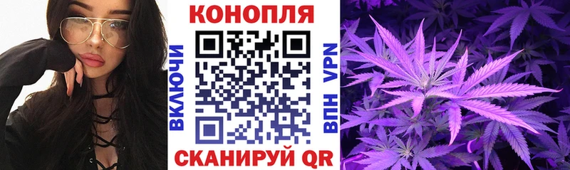 omg ТОР  Карабаново  Каннабис индика  где можно купить  